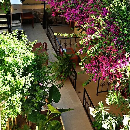 Sevil ホテル シダ